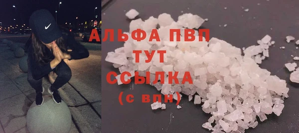 трава Пересвет