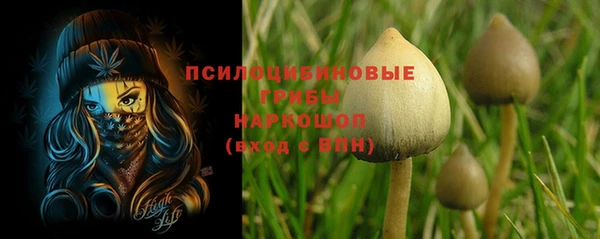 прущие крисы Переславль-Залесский